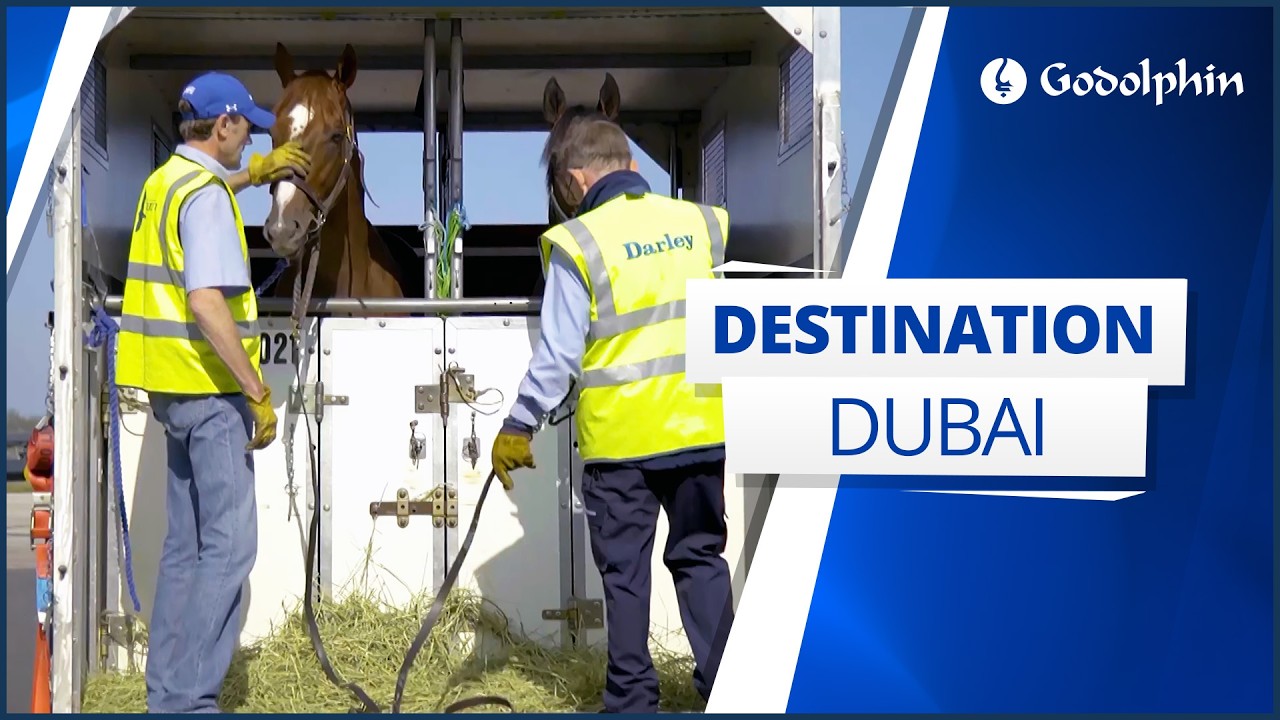 Destination Dubai