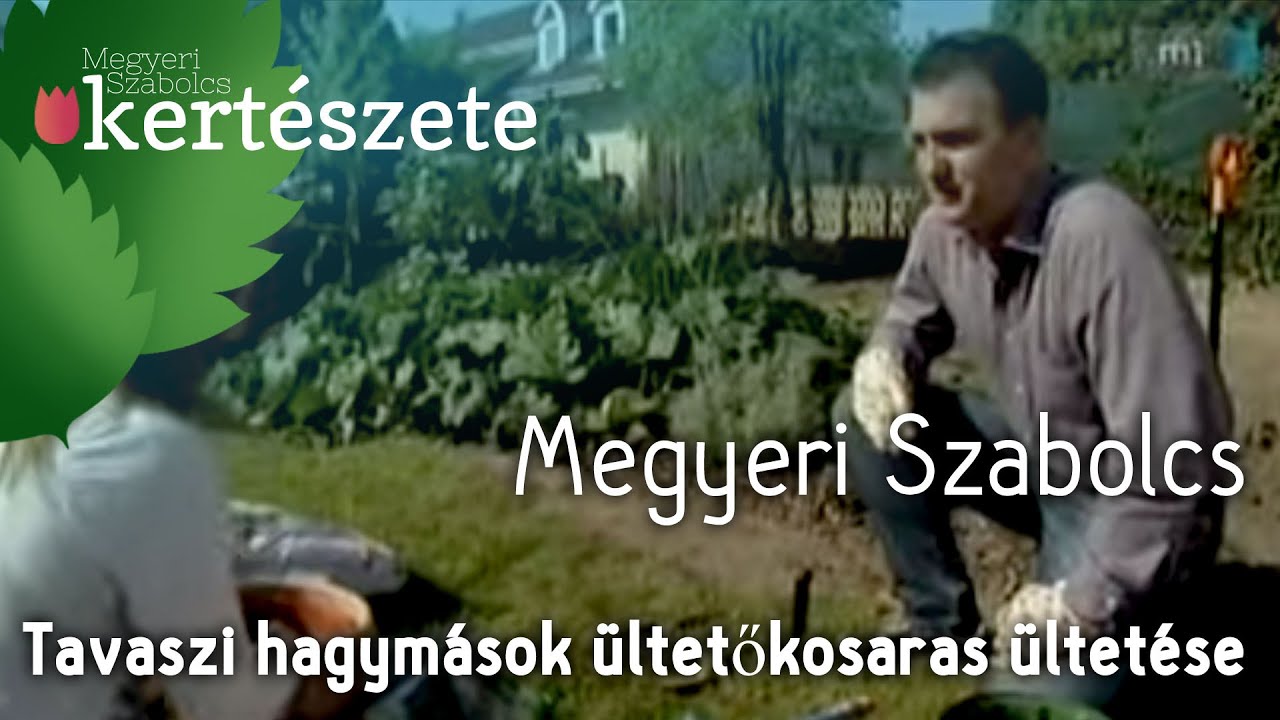Kert&eacute;p&iacute;t&eacute;s: Tavaszi hagym&aacute;sok &uuml;ltetőkosaras &uuml;ltet&eacute;se - Megyeri Szabolcs Kert&eacute;szet
