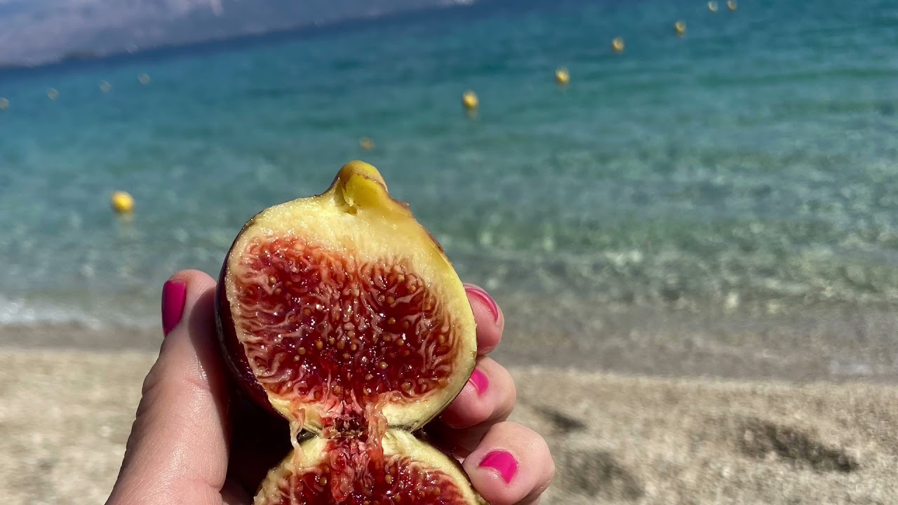 Porto Galini Lefkada Greece. Travel with a toddler. Family travel hotel suggestion.