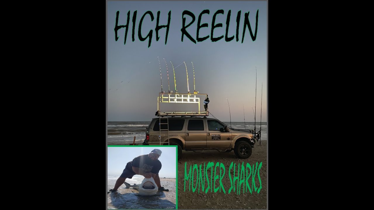 LAND BASED SHARK FISHING