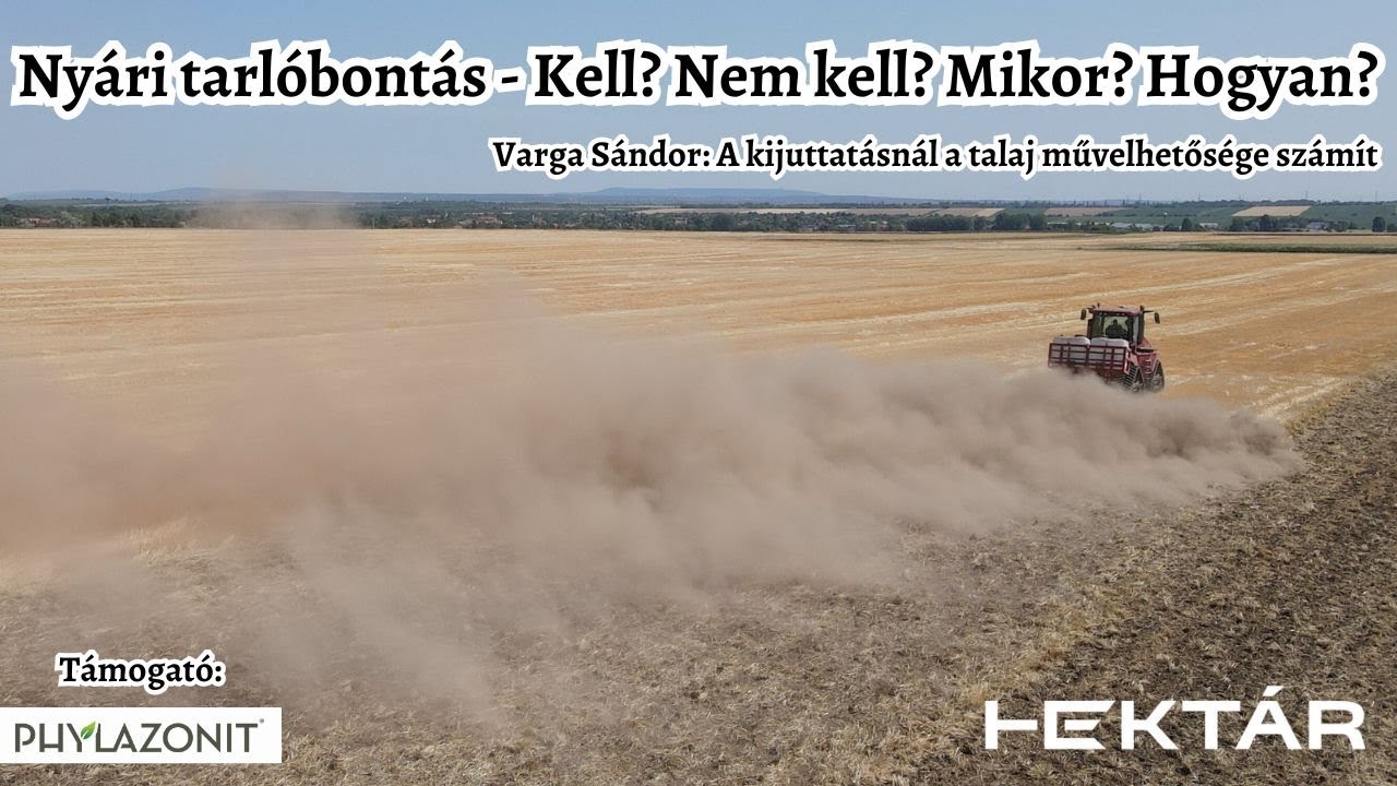 Tarlóbontás nyáron? Megosztó módszer vagy szükséges beavatkozás?