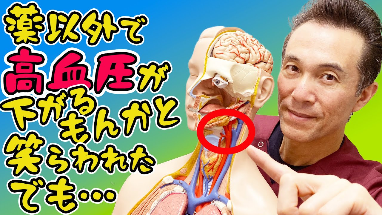 【高血圧ケア】超簡単、高血圧を改善させるのはココです！【のむら整骨院　大阪】