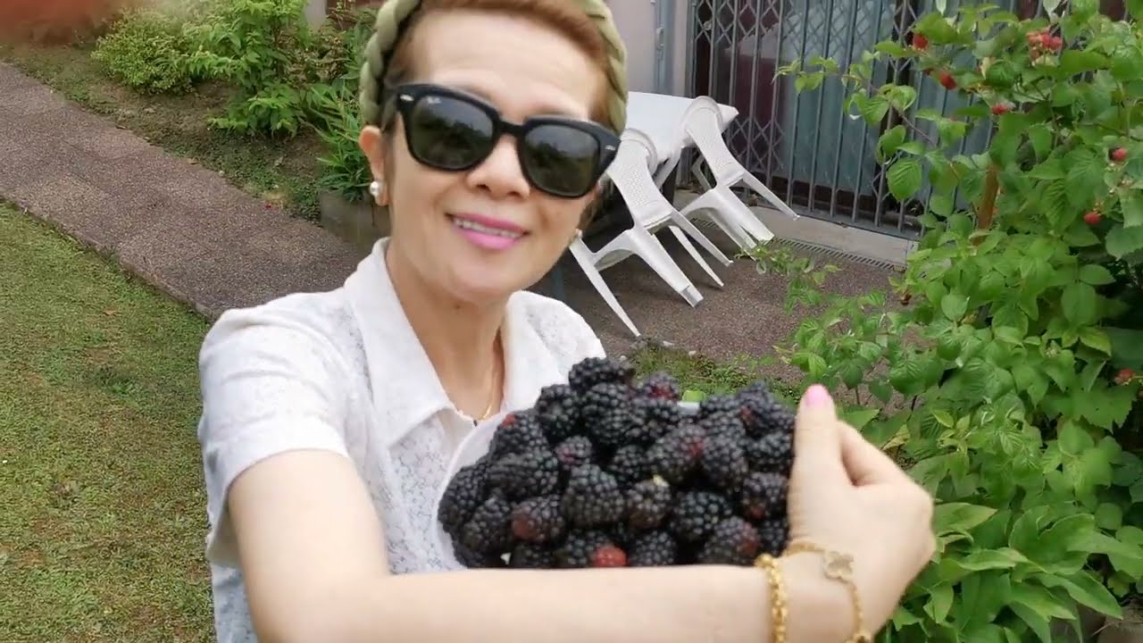 Fruits in the garden, เจ็บผลไม้ที่หลังบ้าน.