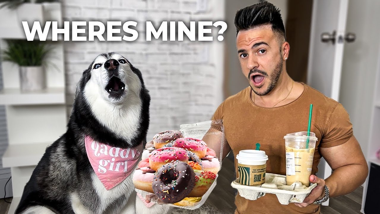Forgot My Husky’s Breakfast & She FREAKS OUT (SHE ARGUES!)