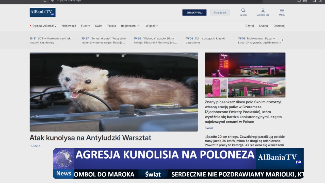 Raport sytuacyjny z walko o niepodległość Poloneza od kunoliśiego najeźdźcy