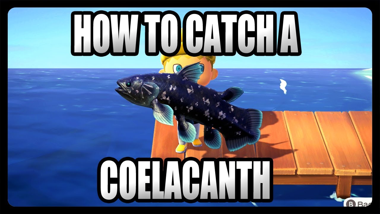 How To Catch a Coelacanth in Animal Crossing New Horizons!