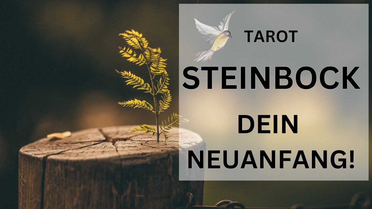 STEINBOCK Tarot | VERTRAUE DIR MEHR! DU WIRST ERNTEN!