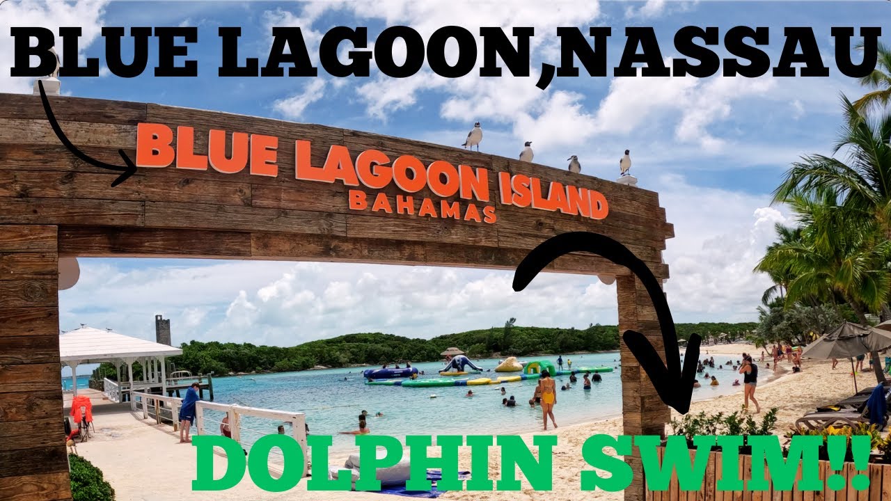 YOU WON’T BELIEVE WHAT HAPPENED DURING OUR DOLPHIN SWIM | Nassau Bahamas | Blue Lagoon Island