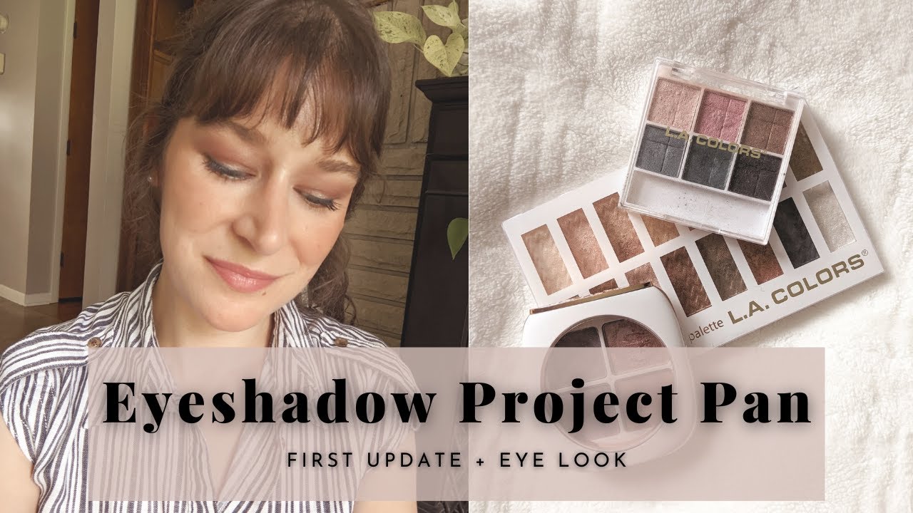 Eyeshadow Panning Project First Update | Plus Eye Look!