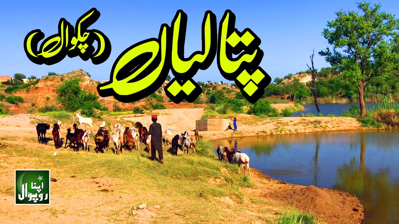 Patalian, Chakwal | Punjab, Pakistan | پتالیاں ، چکوال |