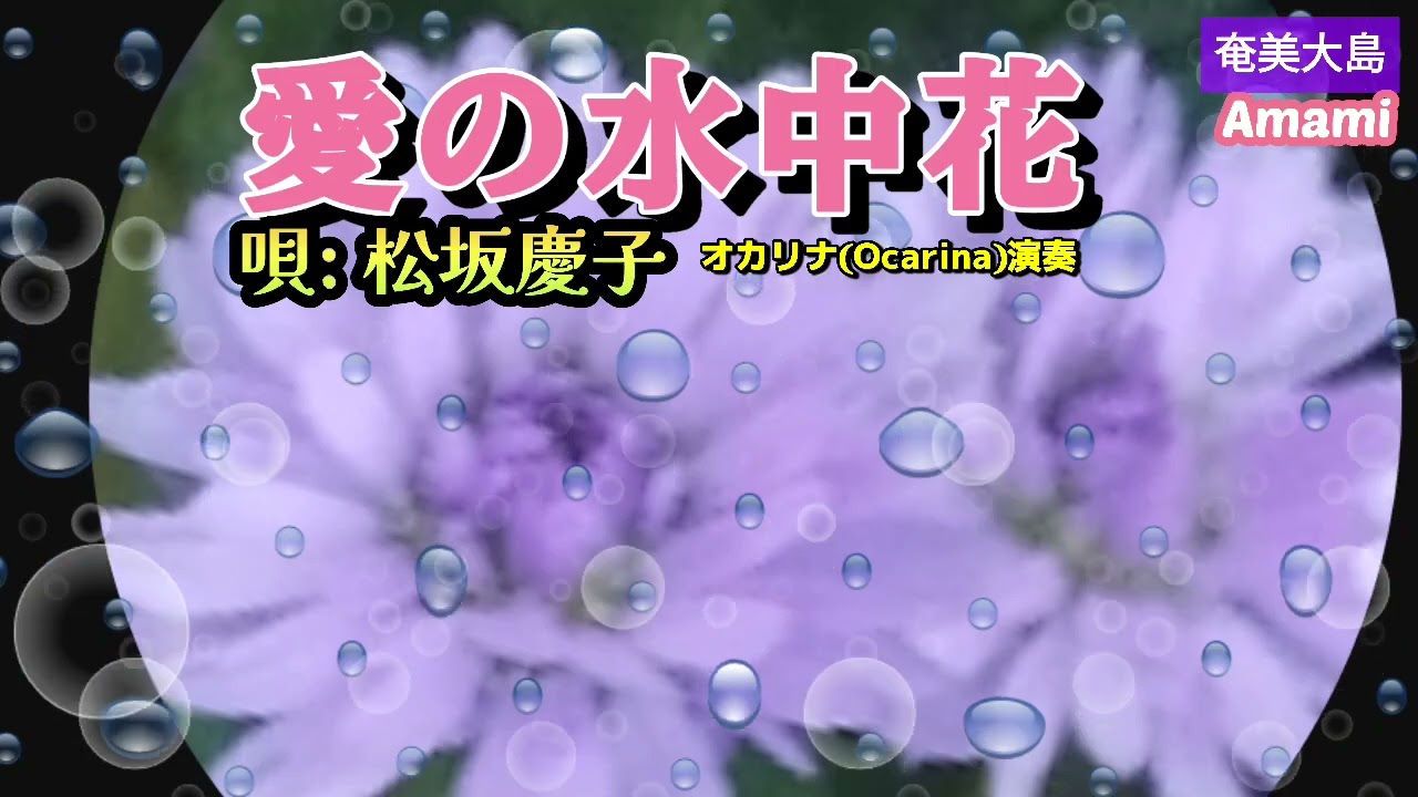愛の水中花·Japanese Song·松坂慶子·歌詞付·1682曲目·オカリナハイビスOcarina Hibi’s