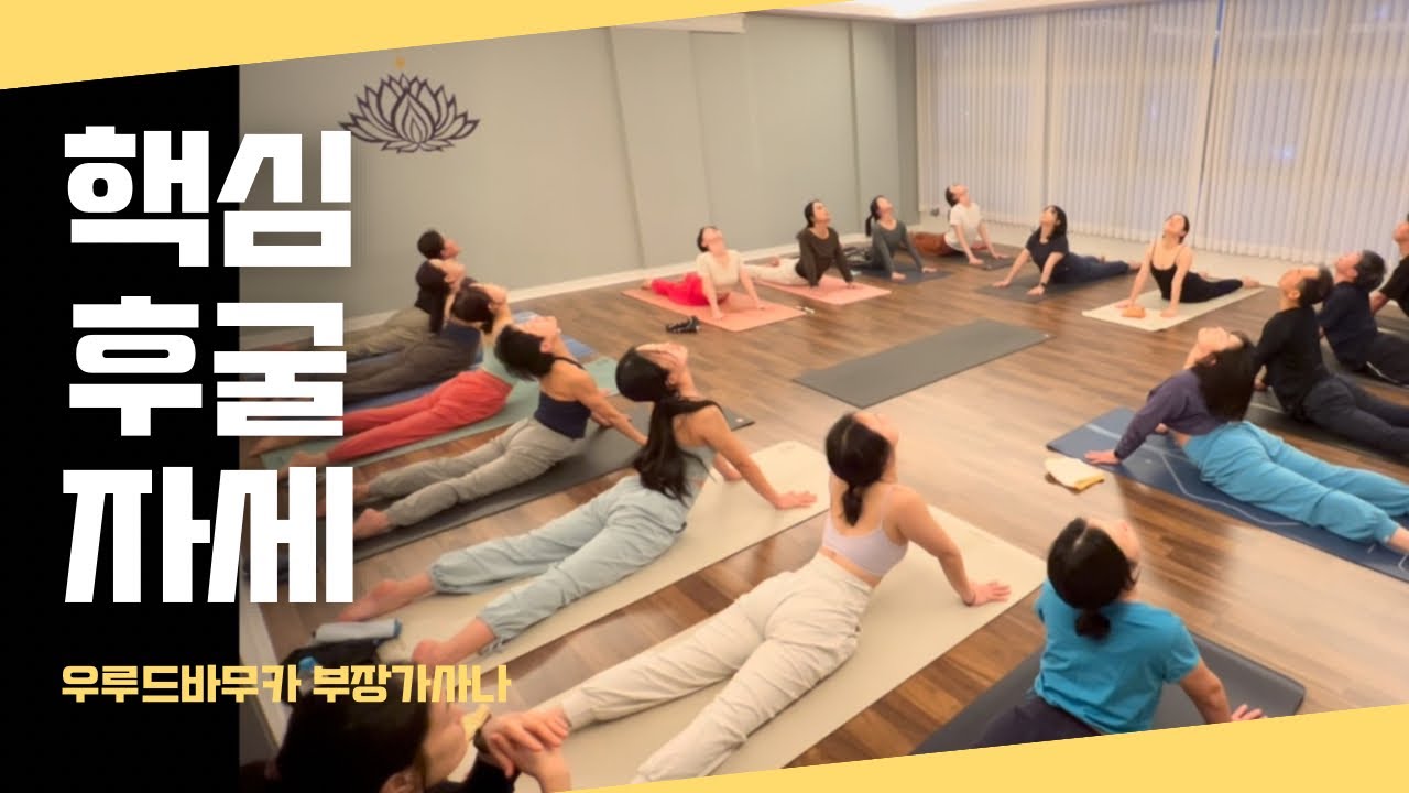 [엔젤요가] 우르드바 무카 부장가로 흉추 각성
