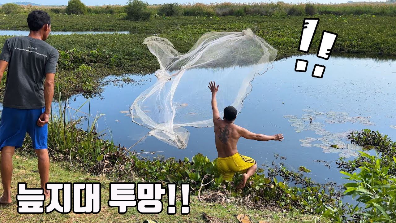 이런 투망방식은 생전 처음보네요 ㄷㄷ 상상도 못한 현지인의 투망기술로 희귀 육식어를 잡았습니다!