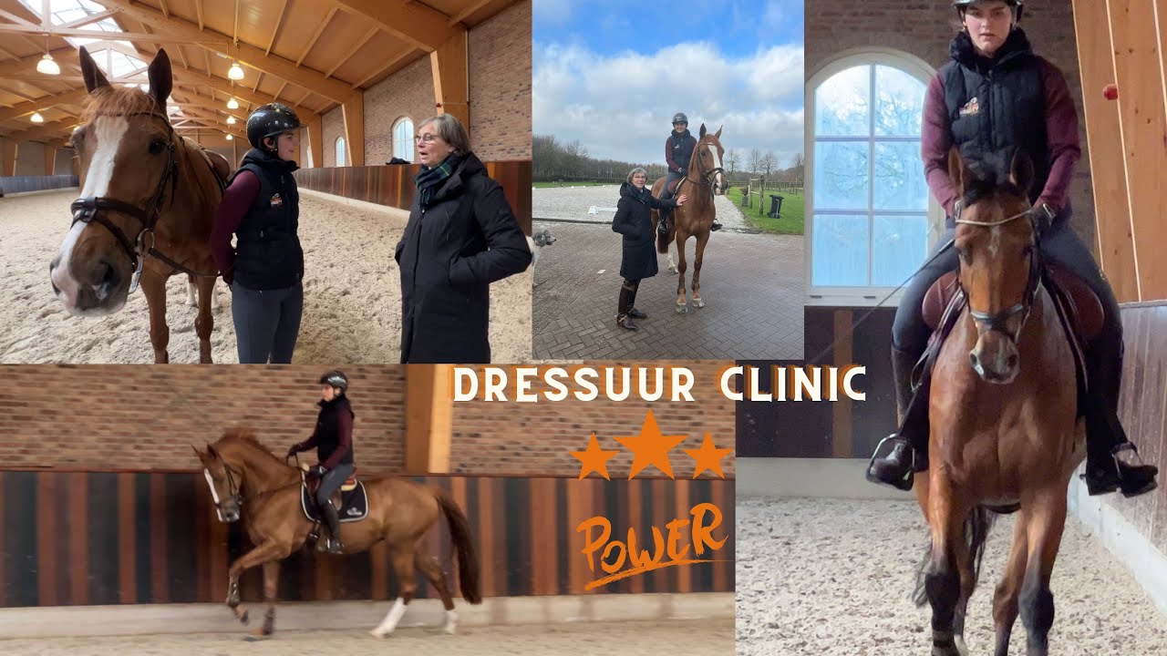 Dressuur clinic van Tinneke Bartels! ✰vlog 275✰ | Kristy Snepvangers |