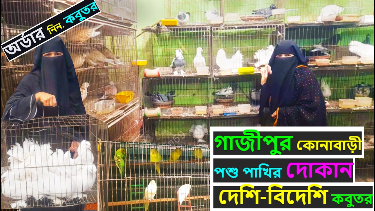 গাজীপুর কোনাবাড়ী পশু পাখির দোকান 🕊️ | দেশি-বিদেশি কবুতর ও পাখির কালেকশন | Home Delivery Available