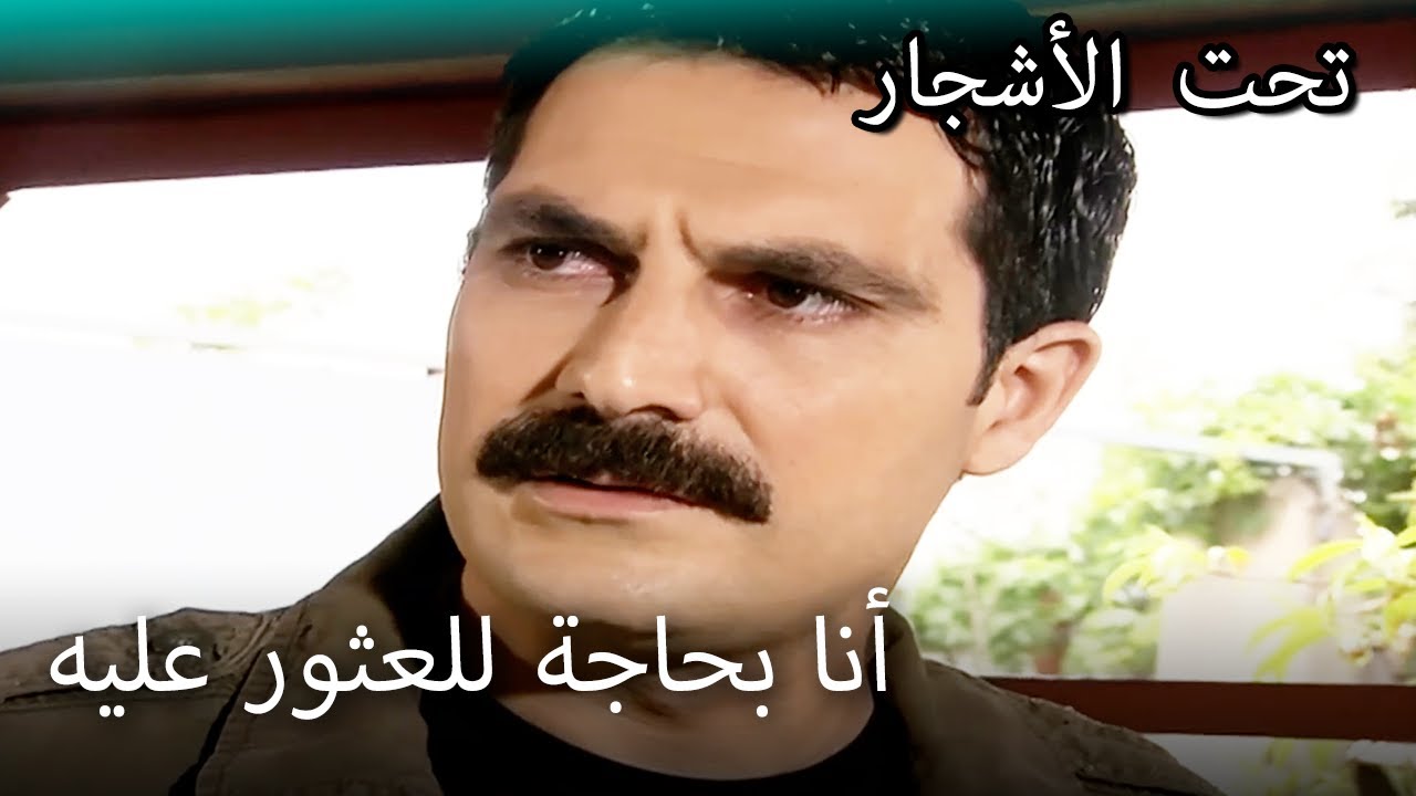 بحث يلماز عن فيليز في كل مكان - القسم الخاص تحت الزيزفون