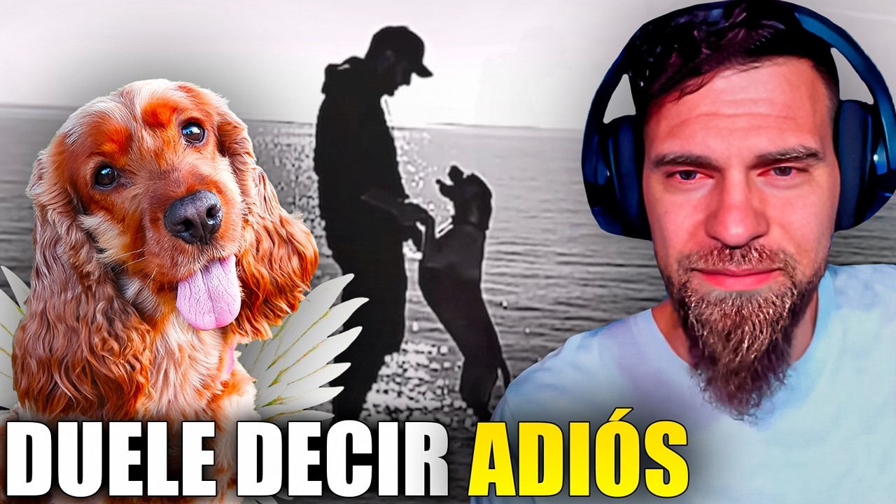 😭 SHÉ ¨QUÉDATE¨ 💔 [ MARK MIRANDA REACCIÓN y ANÁLISIS ]