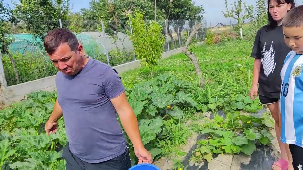Toata 