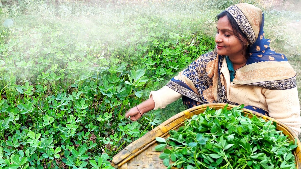 🌺नए वर्ष पर बच्चे बड़े एक एक किलो भर 🌱मेथी खाएंगे अगर आप एक बार ☘️मेथी की ये रेसिपी बनाकर खिला दोगे