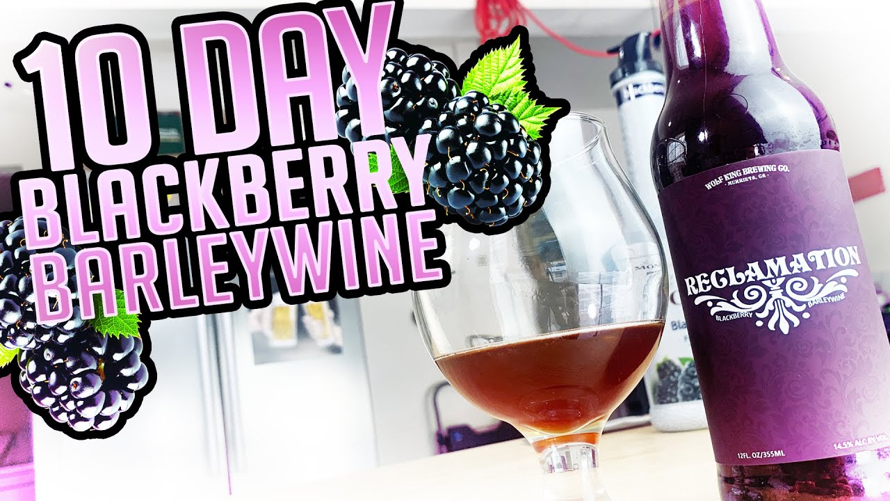 10 Day Blackberry Barleywine! - 10 Day Brews Ep. 4