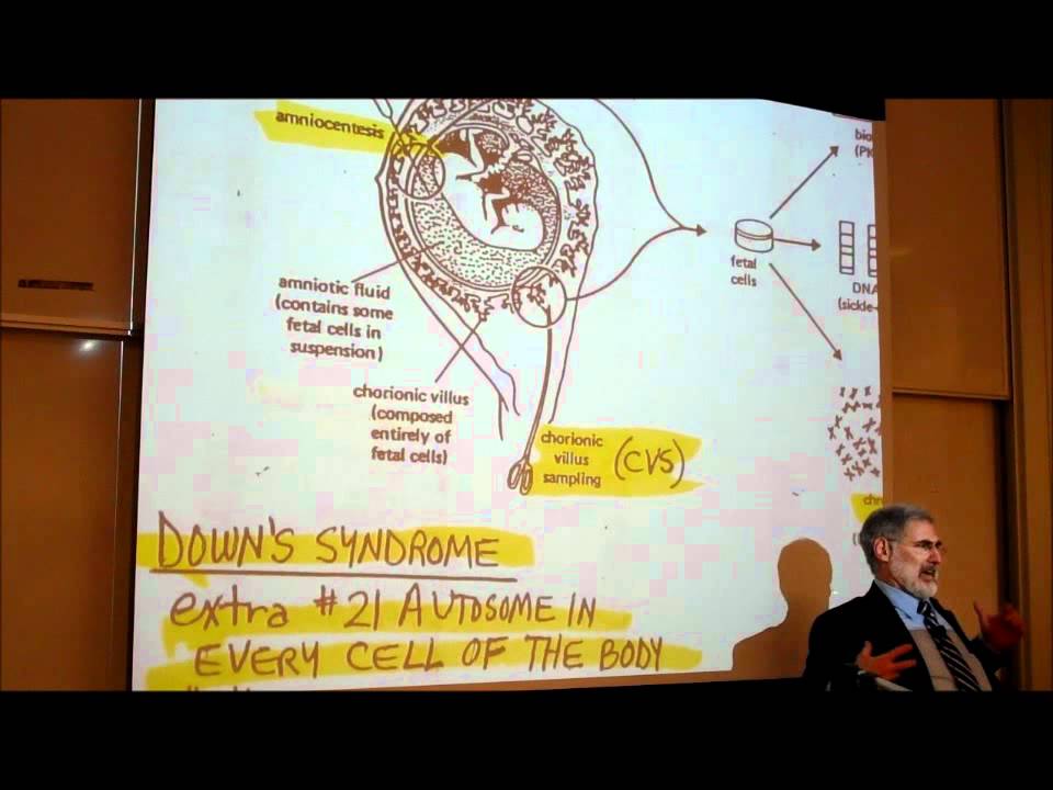 BIOLOGY; CHROMOSOME ANOMALIES & GENETIC DISEASES by Professor Fink.wmv