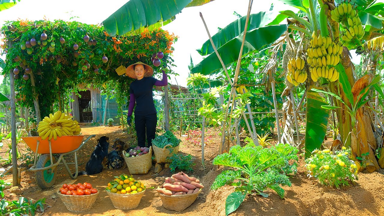 Plant, Harvest, Sell: Kale, Passion Fruit, Banana, Tangerine, Tomato, Sweet Potato – Cook With Them