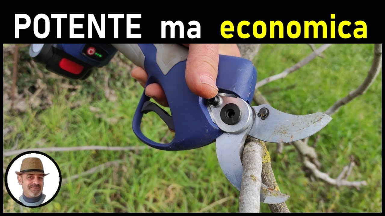 Forbici da potatura elettriche a batteria, 8 ore di autonomia