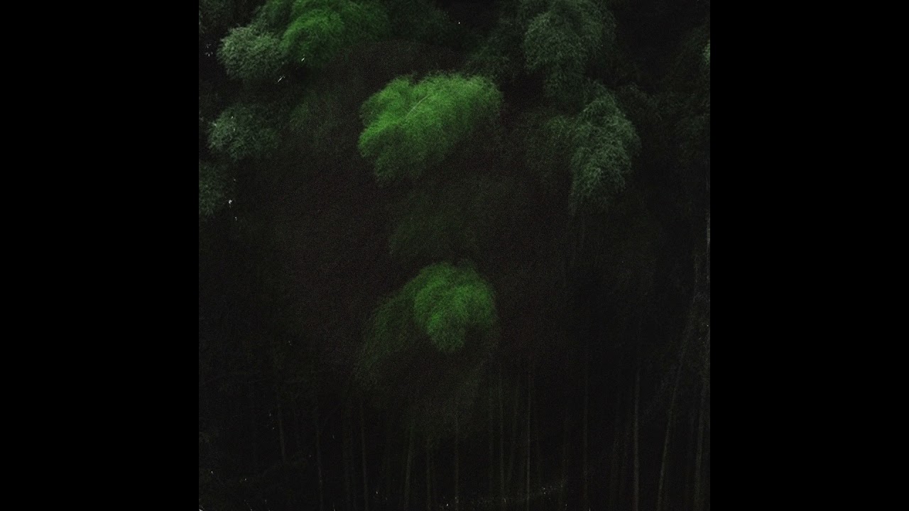 Yoshihiro Sawasaki - Secret Isle