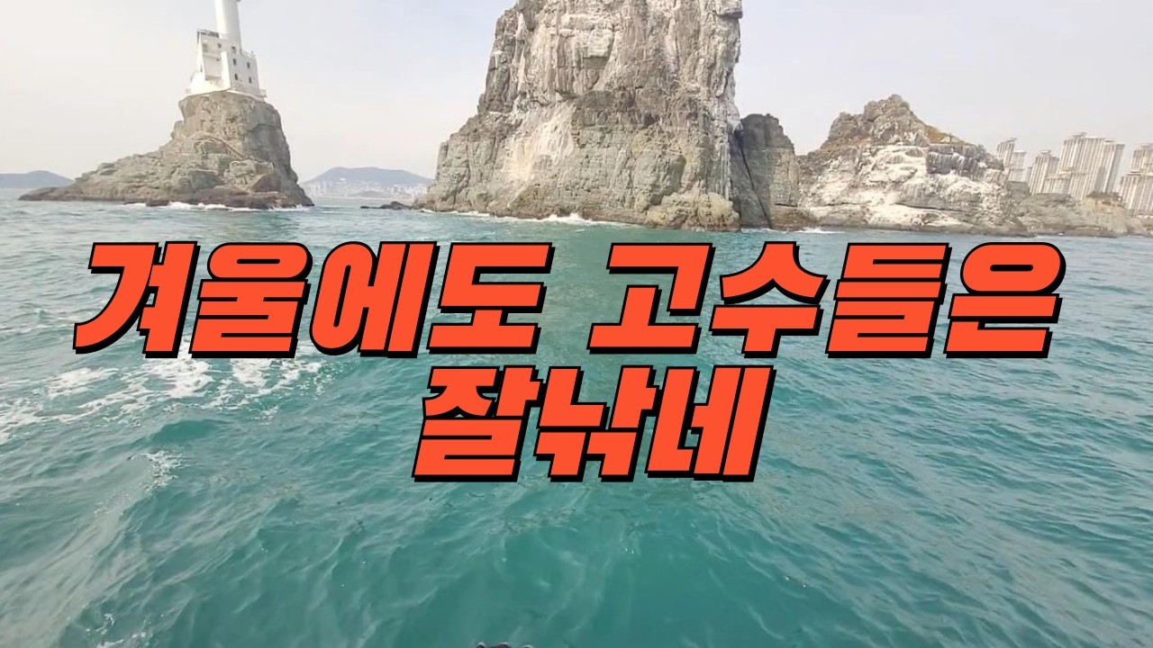부산  등대섬 삼치 부시리 루어 쇼어지깅 ep.겨울에도 고수들은 잘낚네