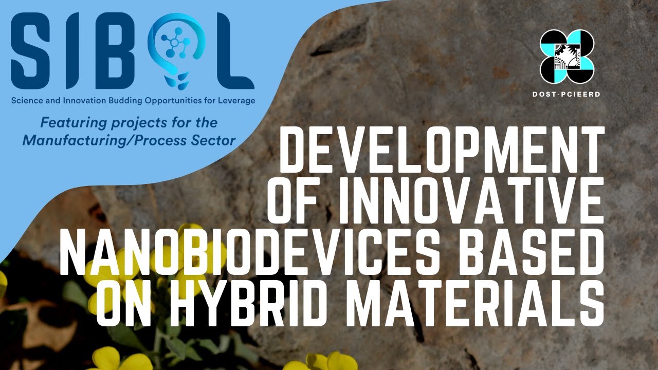 eAsia: Development of Innovative Nanobiodevices Based on Hybrid Materials