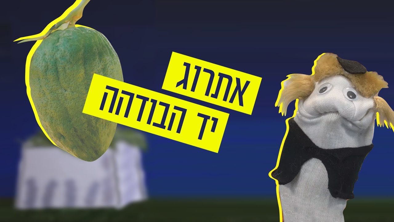 כאן גרביים | אתרוג יד הבודהה
