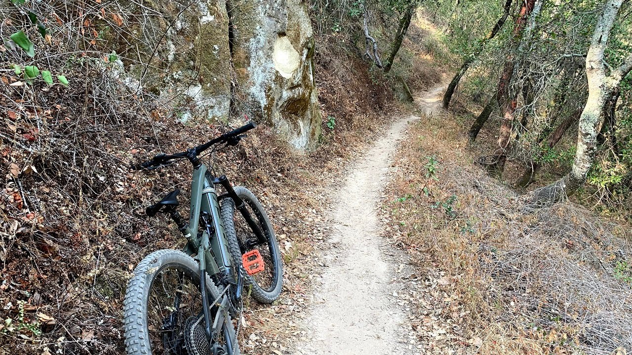 Mt Diablo State Park single tracks