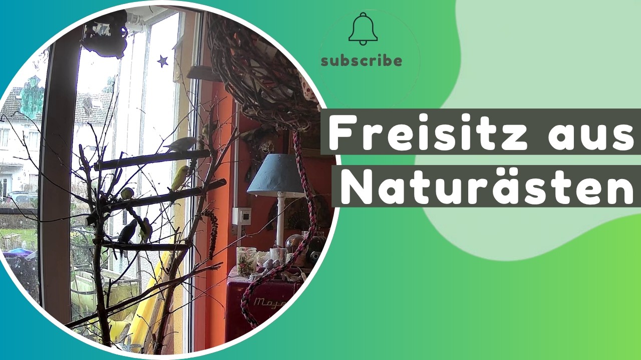Vom Kettensägen-Massaker zum Vogelparadies 🪚DIY Freisitz