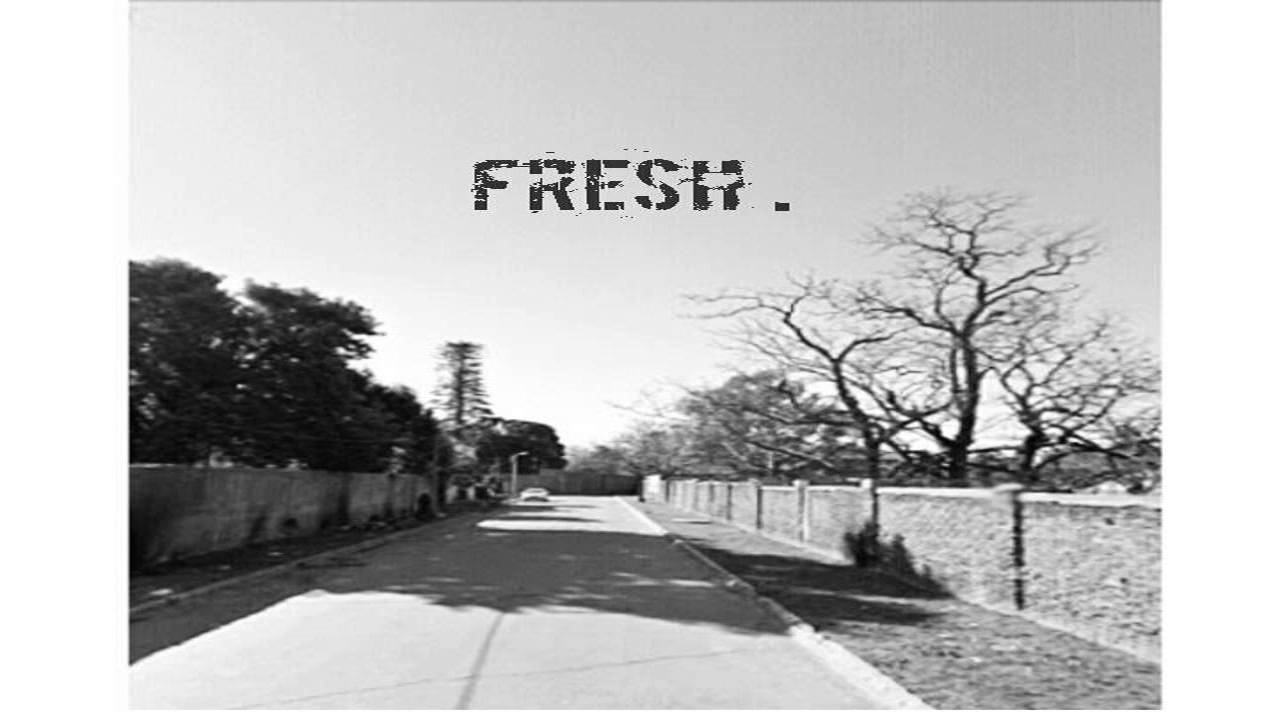 Fresh - 
