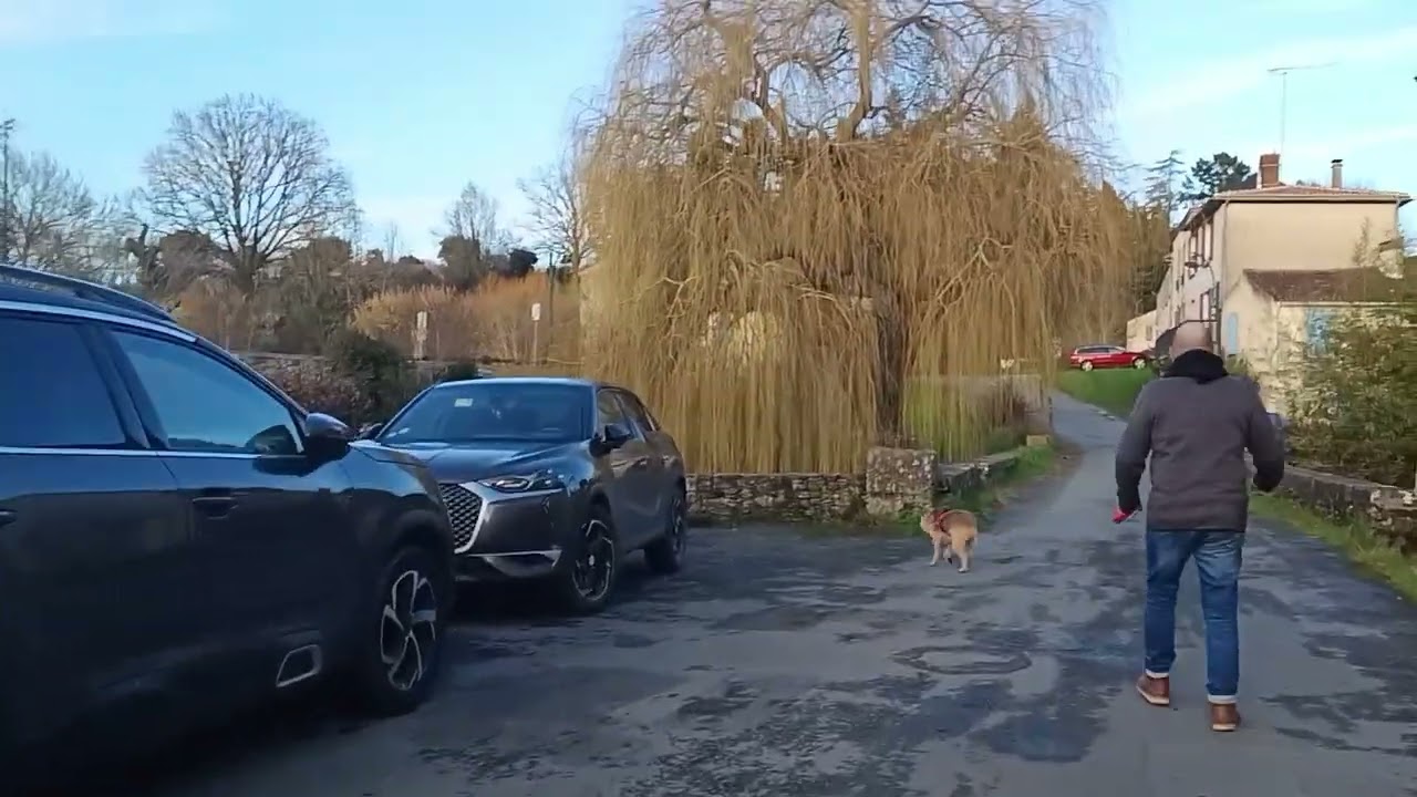 Франция, спокойный воскресный день 💞🐕