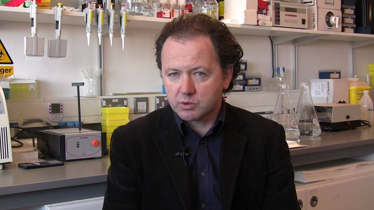 Irish Stem Cell Foundation: Stem cell research for Parkinsons disease