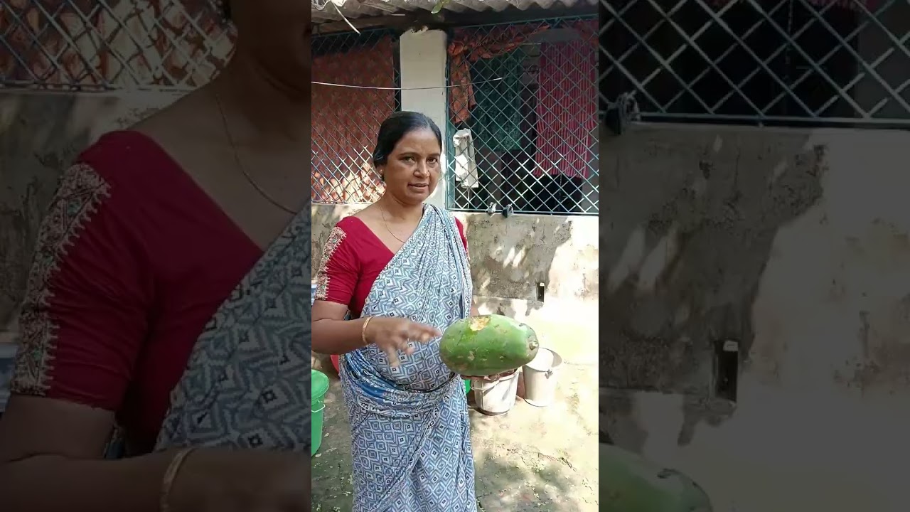 গ্রামের বাড়িতে গিয়ে অনেক মজা করলাম।। তার সাথে ভালো ভালো খাবার খেলাম।।