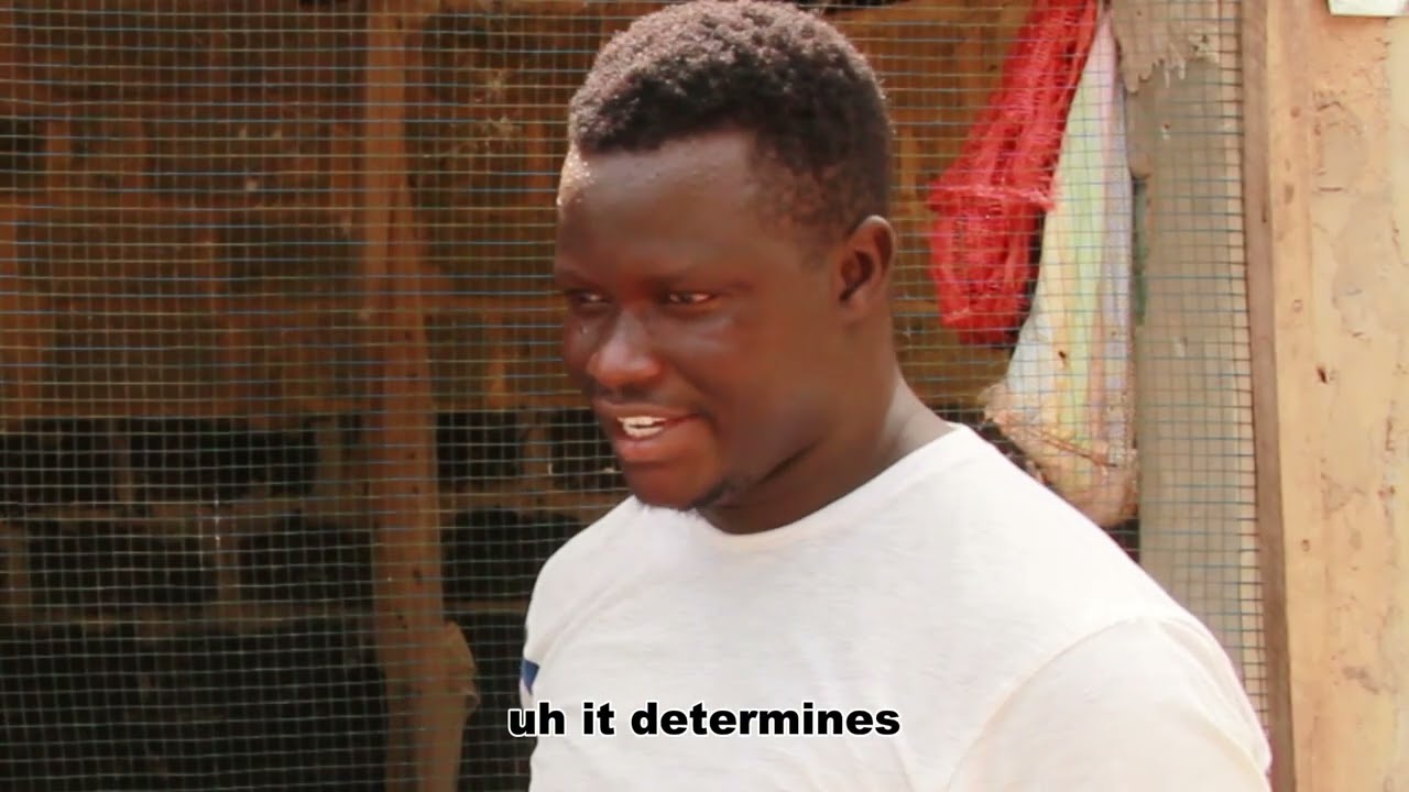 Young entrepreneur on poultry production 