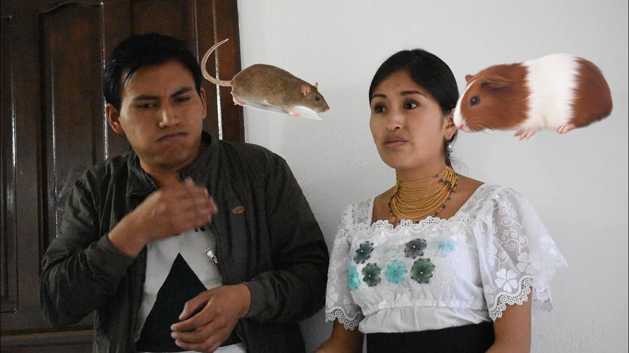 TAMIA GANA MASTERCHEF ECUADOR - MARCOS OTAVALO CAP 13
