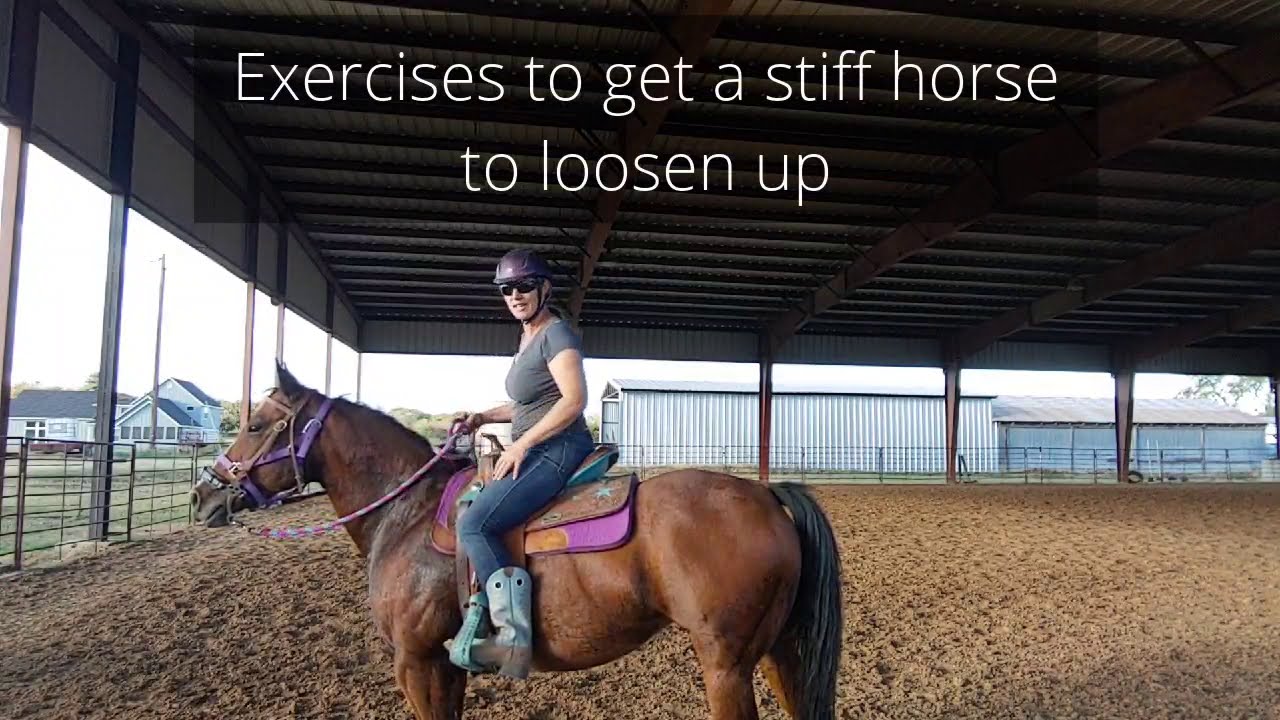 Riding Exercises to help loosen up a stiff horse after some time off