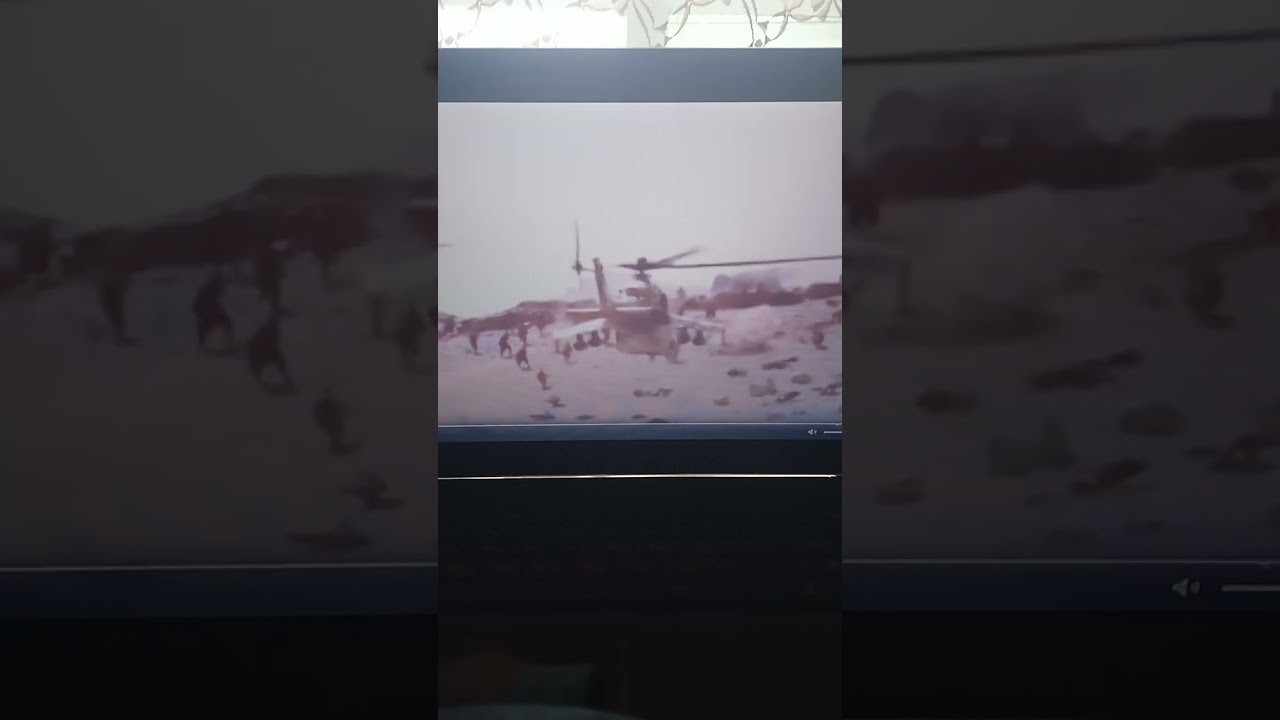 Чёрный тюльпан 