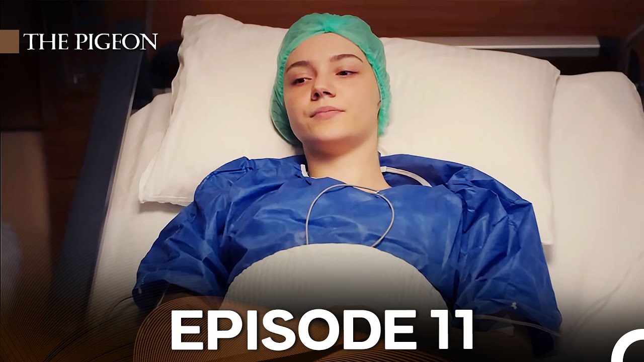 The Pigeon Episode 11 (English Subtitles)
