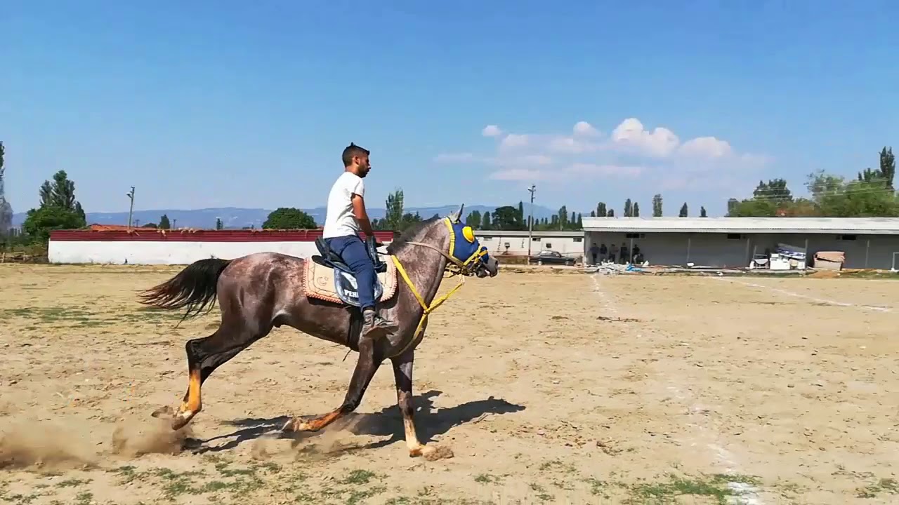 Cirit eğitimi/Traditional Javelin Training