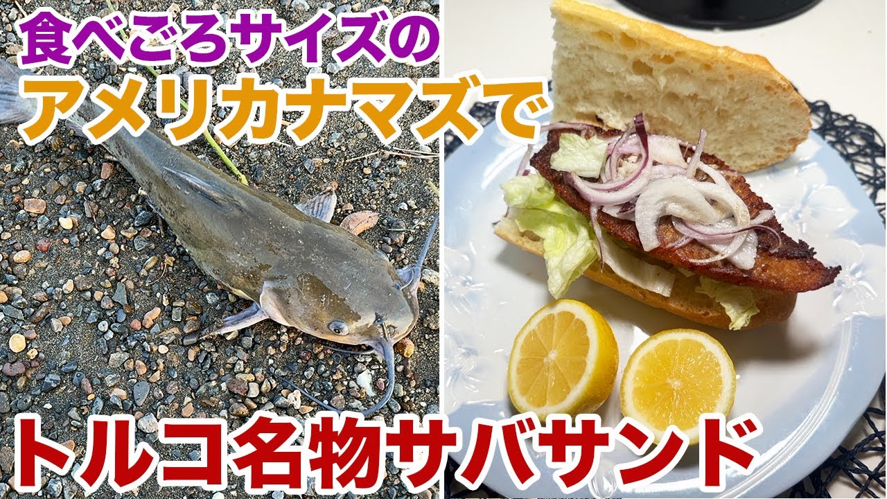 食べごろサイズのアメリカナマズでトルコ名物サバサンド