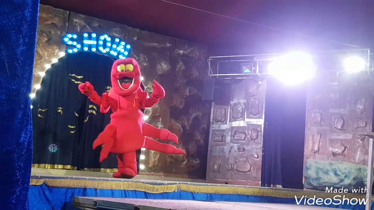 Tutti al circo acquatico 2^parte