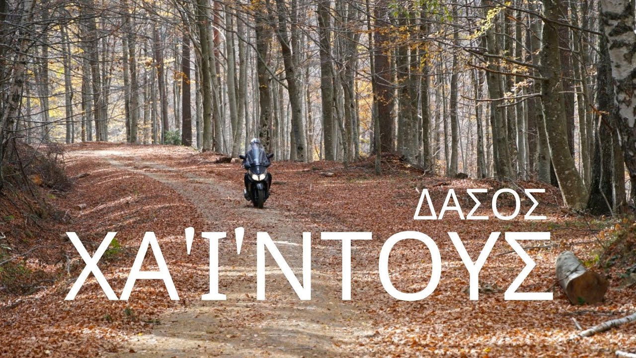 &Delta;&Alpha;&Sigma;&Omicron;&Sigma; &Chi;&Alpha;'&Iota;'&Nu;&Tau;&Omicron;&Upsilon;&Sigma;/HAINTOUS FOREST @makedon62