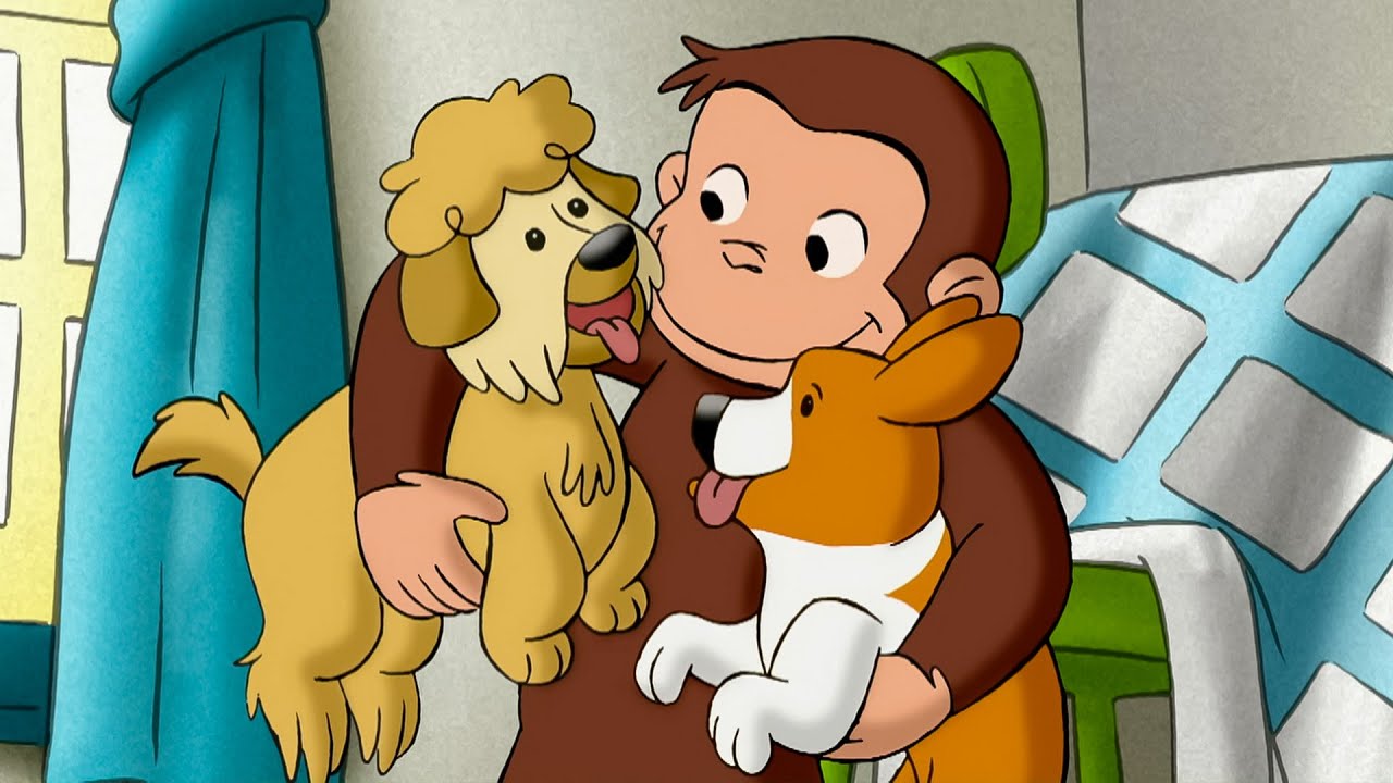 ジョージの子犬の友達 🐵 おさるのジョージ