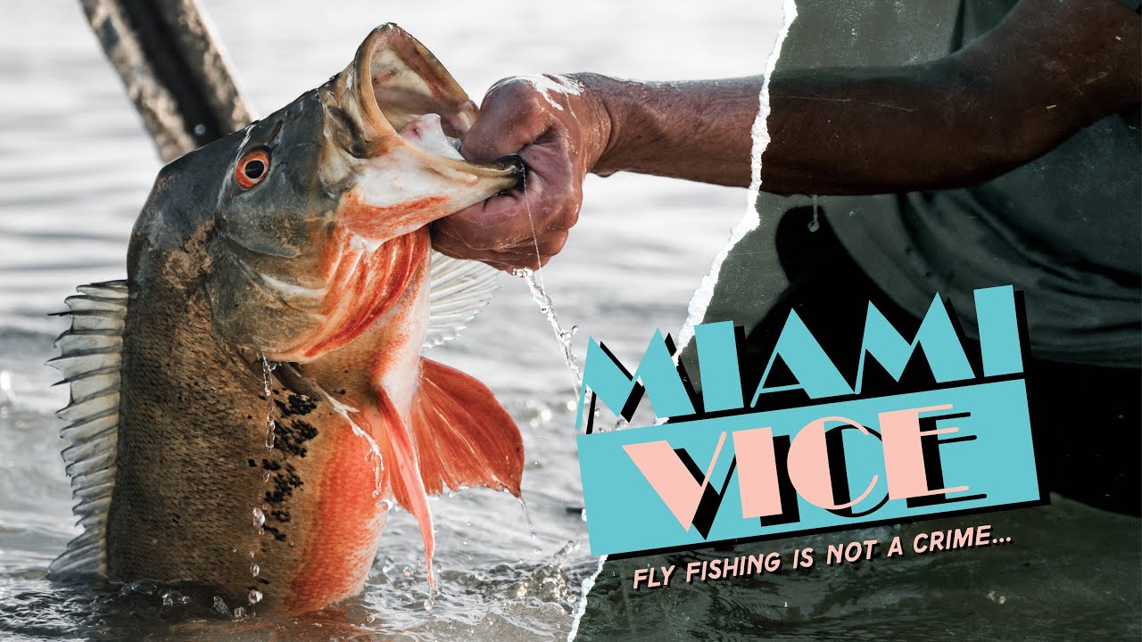 MIAMI VICE | Evading the HOA in Search of a 8lb Peacock Bass (Fly Fishing)