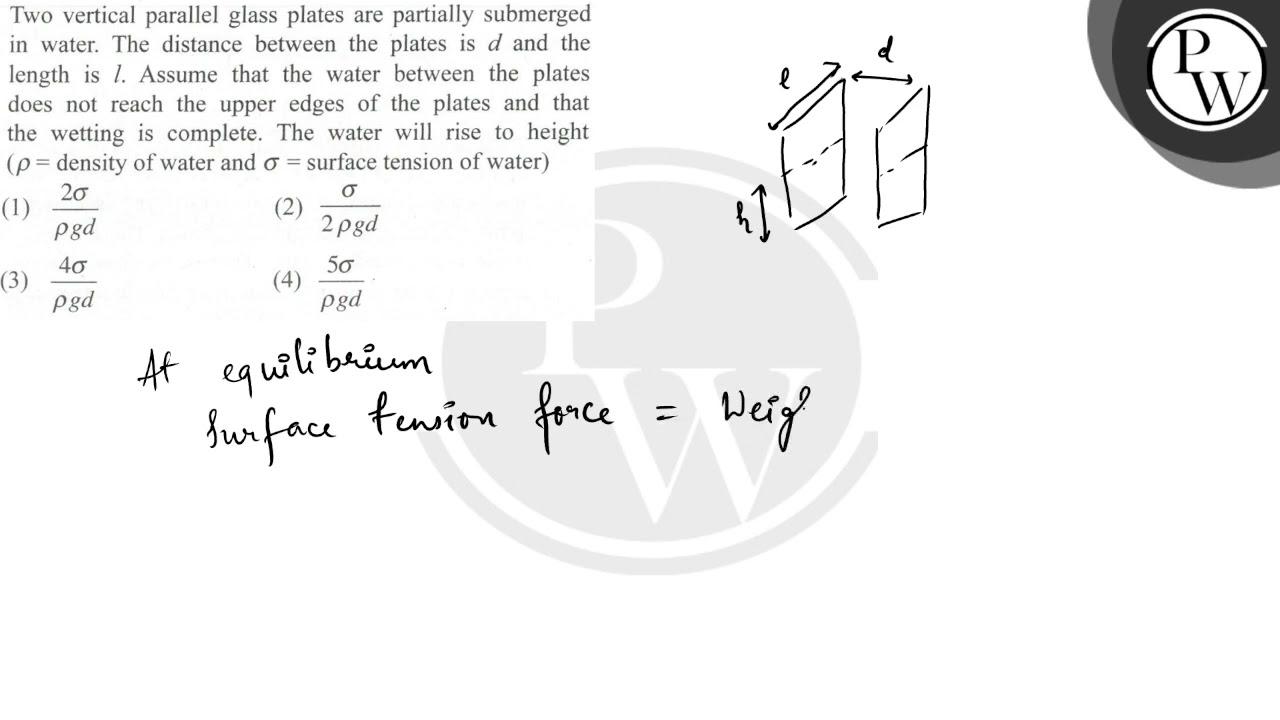 Two vertical parallel glass plates are partially submerged in water. The distance between the pl...