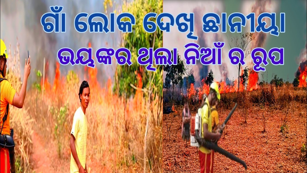 ଗାଁ ଲୋକ ଦେଖି ଛାନୀୟା ଭୟଙ୍କର ଥିଲା ନିଆଁ ର ରୂପ ||#bhayankara thila fir sence || @Dakuavlogs1999 #odisha 